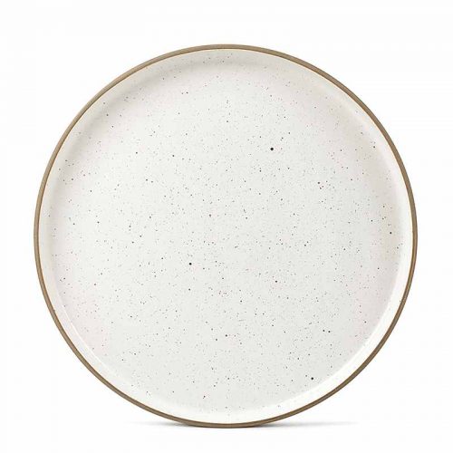 dinner plate with speckles